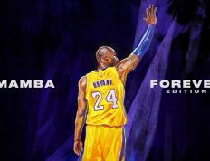 开云体育登录-狮吼震橙衣，美加墨世界杯焦点战，喀麦隆单节风暴掀翻荷兰