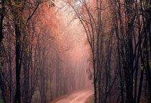 开云体育官方网站-高难度动作惊艳全场，获得好评的简单介绍