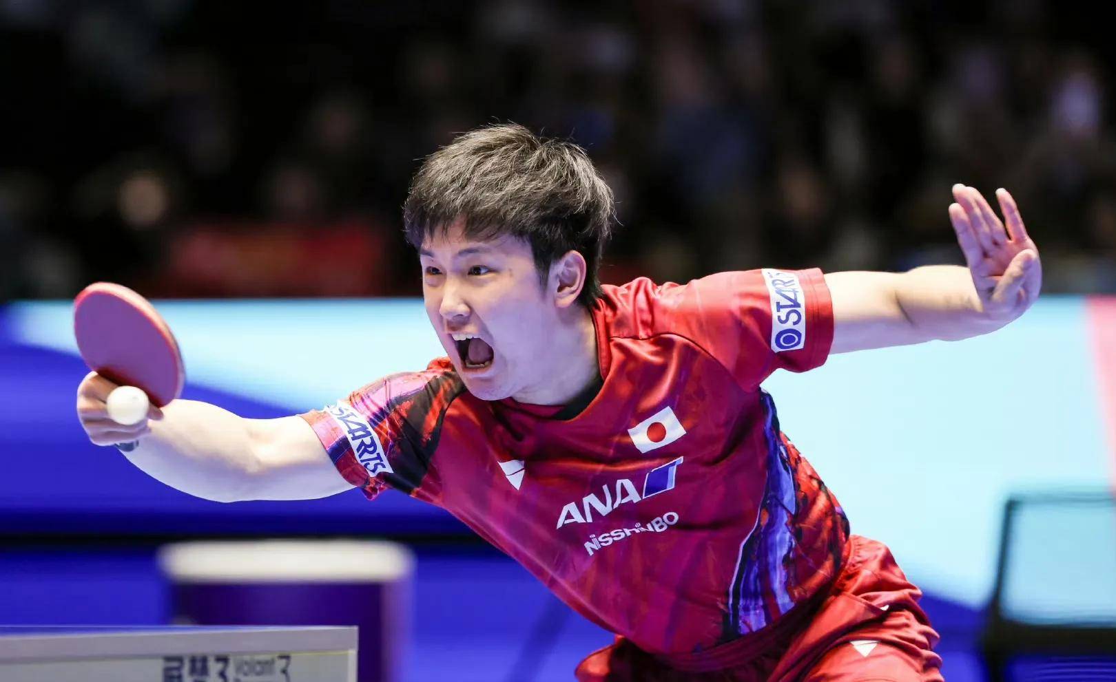 开云官方app入口-亚洲联赛淘汰赛赛况激烈异常